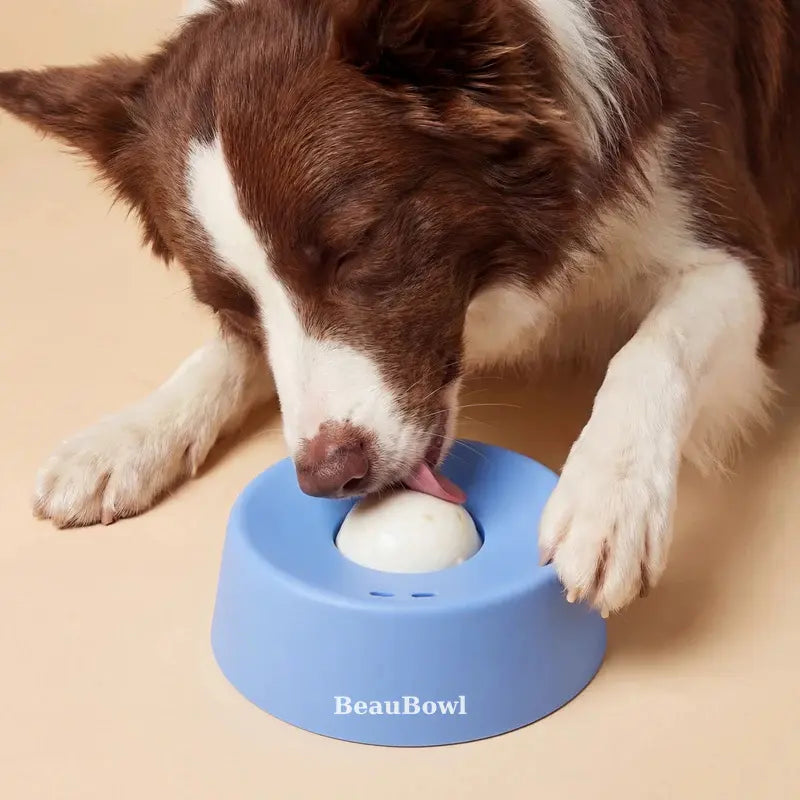 Best Slow Feeder Bowls for Dogs in 2026: Expert Reviews & Buying Guide Beaurama