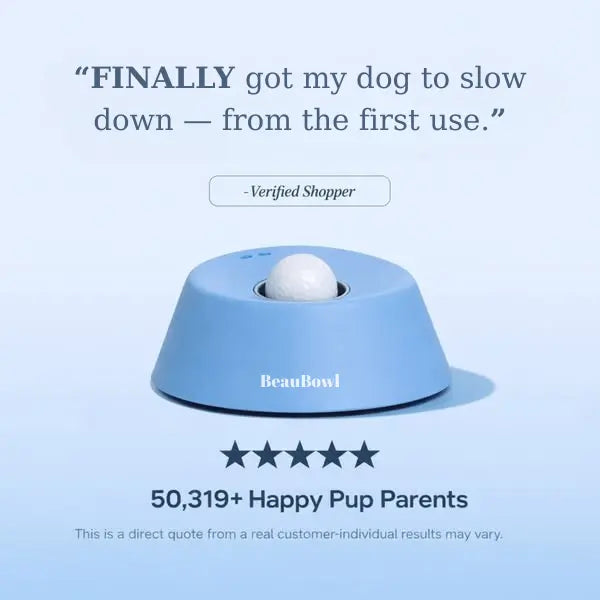 Top 20 Best Interactive Dog Toys for Mental Enrichment and Play in 2026 Beaurama