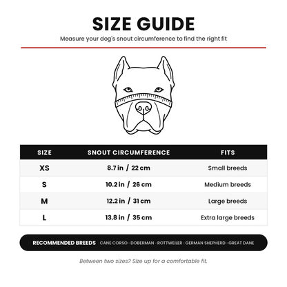 BeauDino™ – Funny Dinosaur Dog Mask