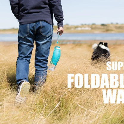 portable pet water bottle for walks
