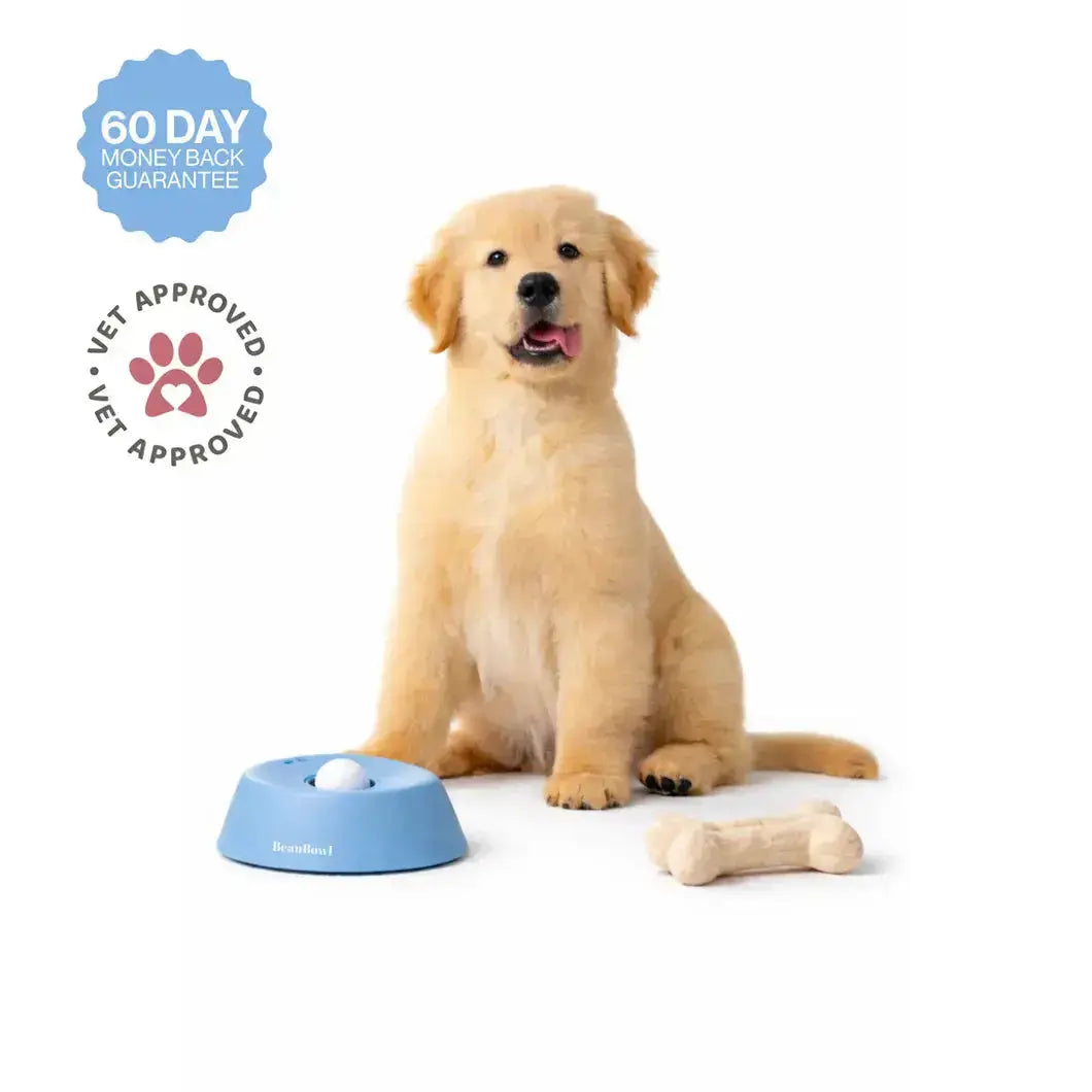 Anti bloat pet slow feeder designed to improve digestion and eating habits