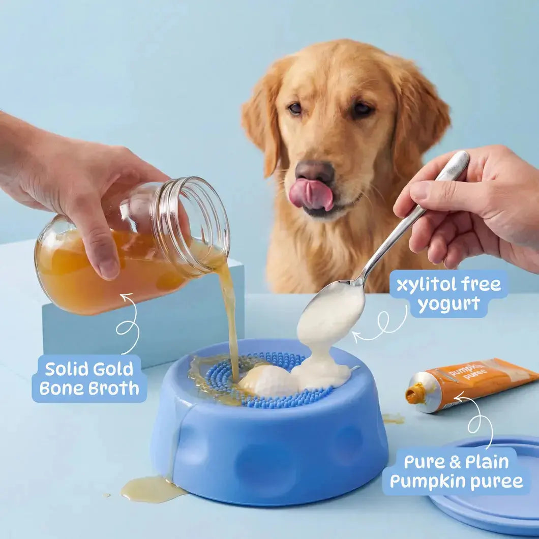 Interactive dog enrichment feeder helping reduce boredom and encourage slower eating