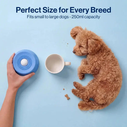 Healthy feeding solution for dogs with interactive puzzle-style food dispenser