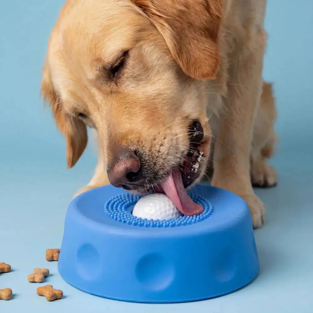 Close-up view of BeauBowl Pro puzzle feeder for dogs providing mental stimulation during mealtime