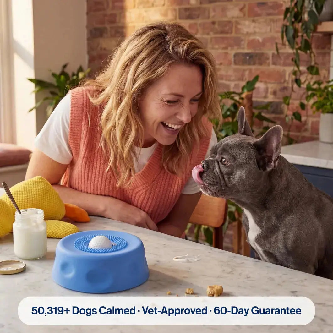 Slow eating dog bowl designed to prevent fast eating and improve digestion