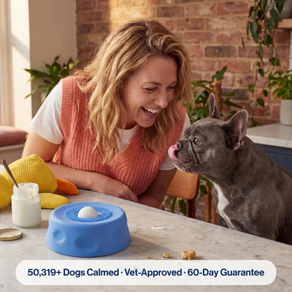 Slow eating dog bowl designed to prevent fast eating and improve digestion