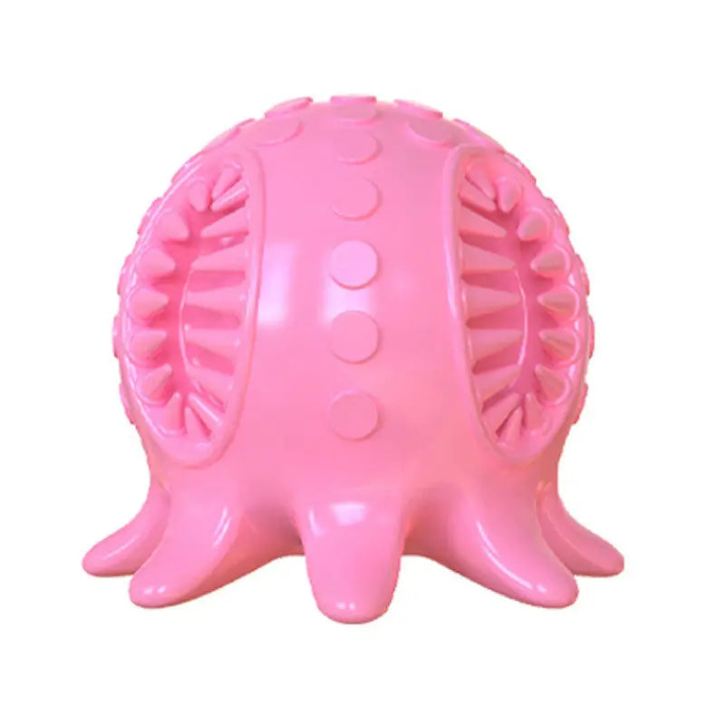Interactive dog chew toy helping reduce plaque buildup and support dental health during play