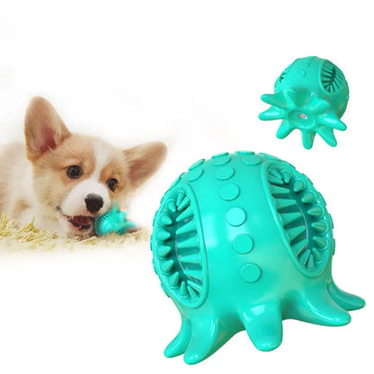 Dog playing with BeauOcto squeaky chew toy for mental stimulation and enrichment