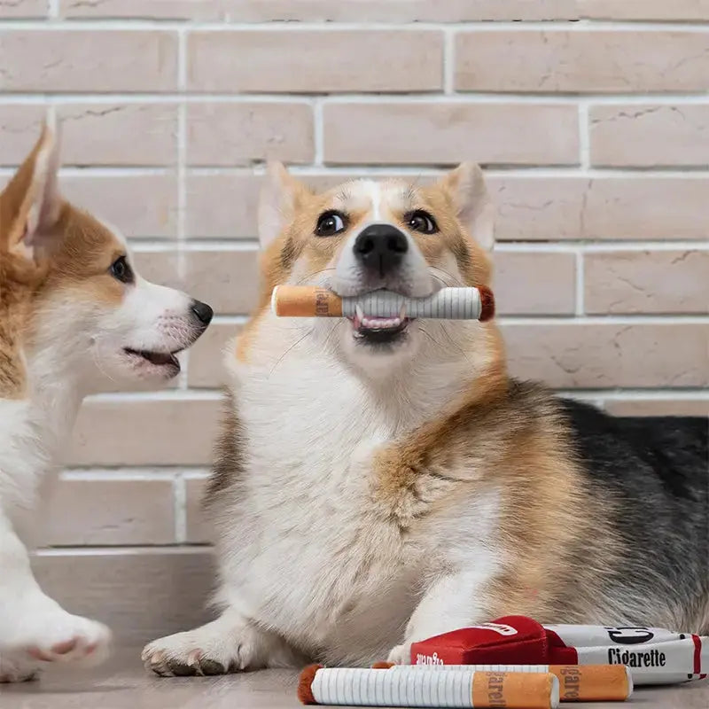 Indoor dog toy helping keep dogs active engaged and entertained