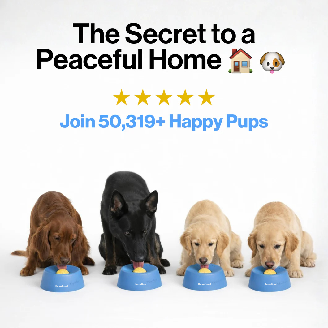 BeauBowl™-Smart Slow Feeder eprolo