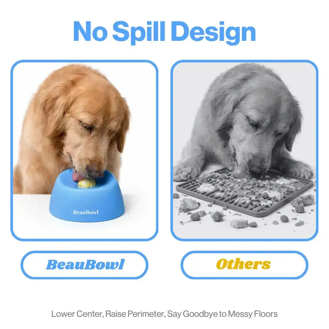 Interactive cat enrichment bowl for reducing boredom and encouraging natural foraging behavior